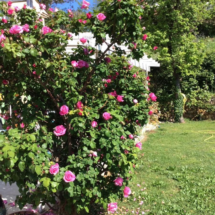 앙티브 Bienvenue Chez Alain Et Marie 아파트 외부 사진